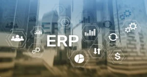 Role of Executives in an ERP implementation