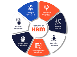 Human Resource Management System | HR Software in Pakistan