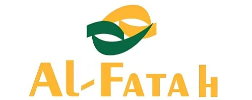 Smart Logo